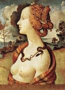 Piero di Cosimo Portrait of Simonetta Vespucci oil on canvas